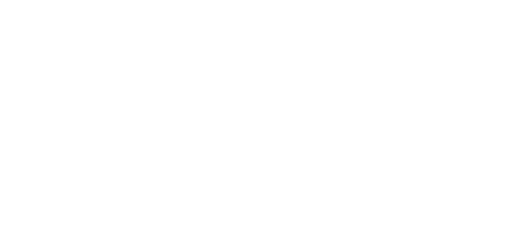 partnership for financial equity - white logo